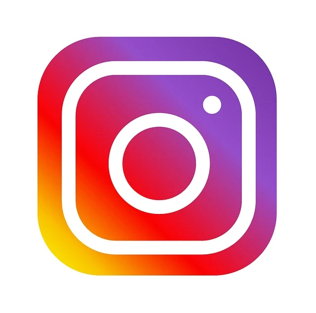 How to download Instagram reels?